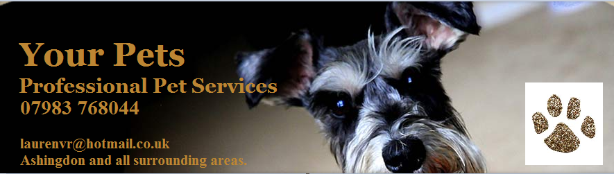 Your Pets